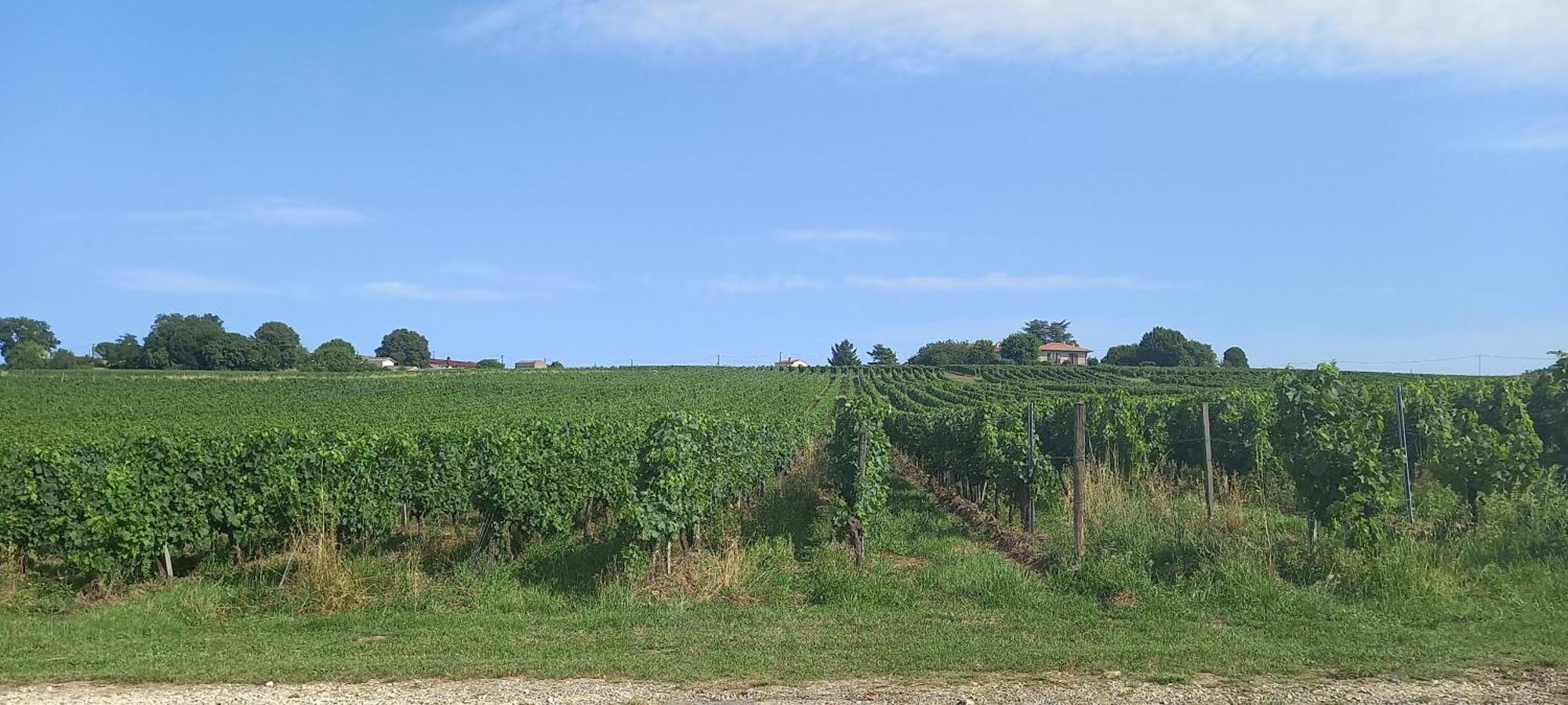 L'Hermitage D'Alienor Lugon et l’Ile du Carney Exterior foto